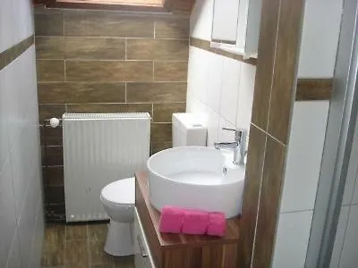 Danzer * 오버호프